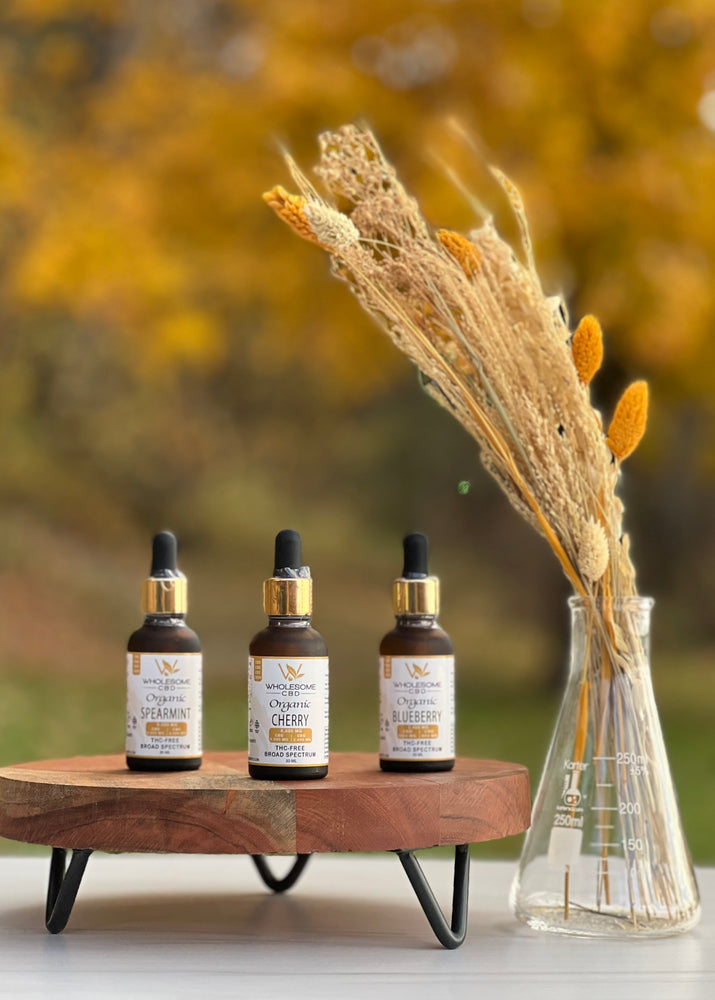 🍂 Fall Into Calm: How to Use CBD During Changing Seasons