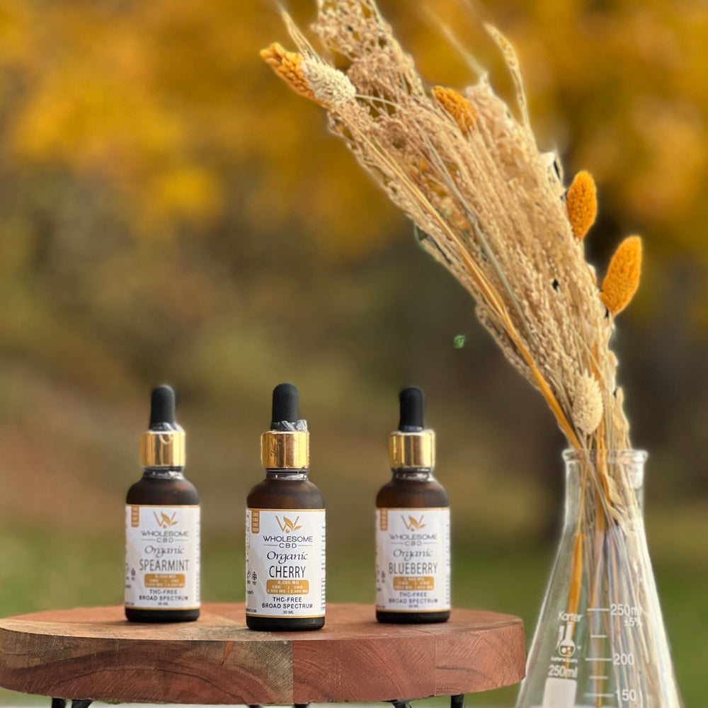 🍂 Fall Into Calm: How to Use CBD During Changing Seasons